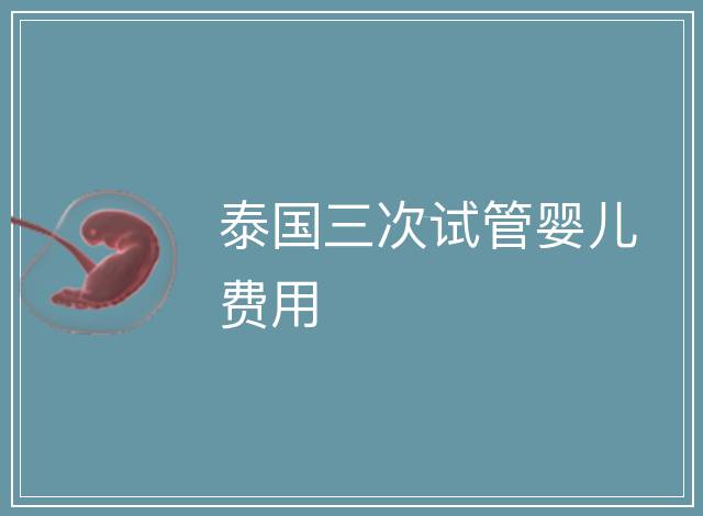 泰國三次試管嬰兒費用