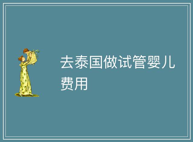 去泰國做試管嬰兒費用