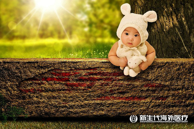 泰國子宮息肉試管移植的流程