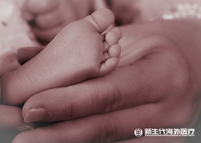 泰國(guó)遺傳病試管助孕移植成功率